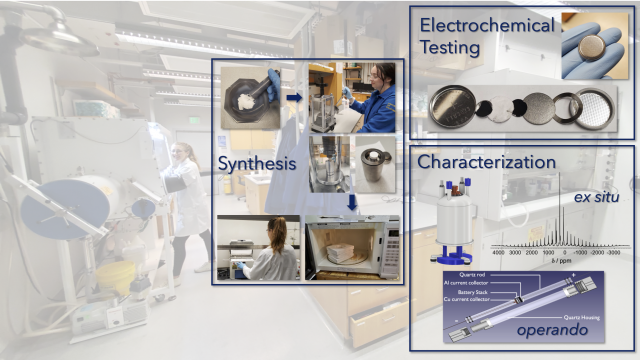 Research in the Clément Lab